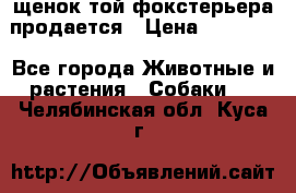 щенок той-фокстерьера продается › Цена ­ 25 000 - Все города Животные и растения » Собаки   . Челябинская обл.,Куса г.